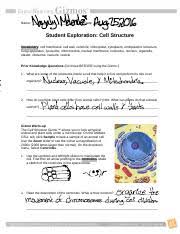 Cell division answer key vocabulary: Gizmo Cell Structure Answer Sheet Activity B