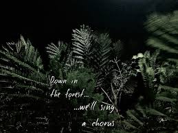 We have an official forest tab made by ug professional guitarists. Forest 21 Forest One Outline Pilots Top Twenty Hd Wallpaper Peakpx