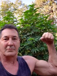 I hope this doesn't break the rules. It's really funny!