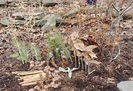 Ask the fairies to join you in your magic working. Fairy Houses Ithaca Children S Garden