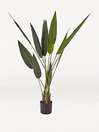Then we have a feeling you'll get along very well indeed with this solid scented sachet idea from flower studio. Artificial Plants Flowers Vases Fake Plants George At Asda
