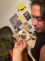 MOMMMMMMMM, I NEED ATTENTION OR I'LL DIEEEEEEEEEEEE"