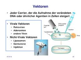 Die dna wird dabei an beispielsweise goldpartikel geheftet, die daraufhin mit der genkanone in die zellen geschossen. Ppt Gentherapie Und Genomics Powerpoint Presentation Free Download Id 3700505
