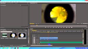 Adobe premiere pro trial extension works fine also on adobe. Adobe Premiere Pro Split Video Engbrooklyn