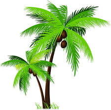 Browse 43,652 coconut trees stock photos and images available, or search for palm trees or coconut farm to find more great stock photos and. Free Animated Palm Trees Palm Tree Clipart