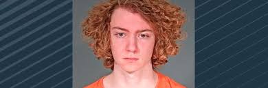 Teen 'having these really bad thoughts' when he choked, stabbed, ran over  girl, police say