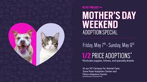 Kc pet project adoption process we currently have pets available for adoption at the kc campus for animal care at our zona rosa adoption center and in foster homes. Kc Pet Project Fotos Facebook