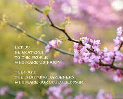 Page 26 Spring Inspirational Quotes Inspirational Quotes With Images Inspirational Quotes
