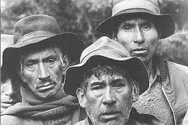 Smith R bajo fuego cruzado _4_