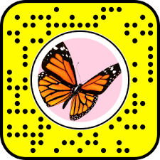Snap To Unlock Snapchat Snapchat Filter Codes Snapchat Filters Snapchat Codes