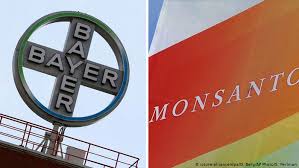 In 1964 monsanto changed its name to monsanto company in acknowledgment of its diverse product line. Monsanto Aktionare Geben Grunes Licht Wirtschaft Dw 13 12 2016