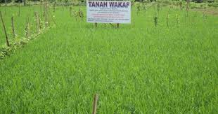 Check spelling or type a new query. Menengok Nasib Tanah Wakaf Paska Tsunami Badan Wakaf Indonesia Bwi Go Id