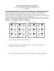 Solution to problem 2 (from the teacher's guide). The Hardy Weinberg Equation Worksheet The Hardy Weinberg Equation How Can We Make Predictions About The Characteristics Of A Population Punnett Course Hero