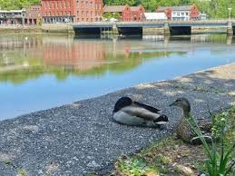 Roundup: Art Show, Beechwood, Private Benjamin …