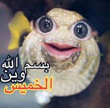 pin on تحفيز