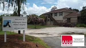 Pet hospital review (3ds eshop). Wilmington Island Animal Hospital Home Facebook