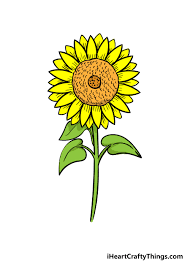How to paint a sunflower step by step shape and composition. Sunflower Drawing How To Draw A Sunflower Step By Step