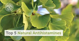 For more than 50 years, antihistamines have been the first type of allergy medication chosen to treat nasal allergies. Top 5 Natural Antihistamines For Allergies Vistasol Medical Group