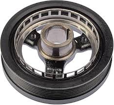 Image result for Pimpinella sp. A. of FZ 4: 594