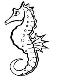 Coloring pages with jellyfish and seahorse. One Seahorse Coloring Page Free Printable Coloring Pages For Kids