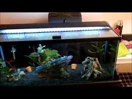Marineland Single Bright Led Aquarium Light 36 48 Review Youtube