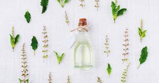 9 Effective Homemade Bug Sprays To Make Your Summer Pest Free
