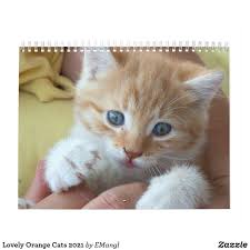 Lovely Orange Cats 2021 Calendar Zazzle Com In 2020 Orange Cats Cats Orange Kittens