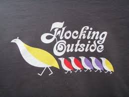 Birds Of A Feather Lyrics Pin On Feather Lyrics