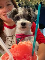 Samson & Fursibz (@peemail)