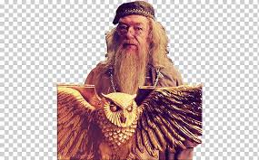 Harry potter and the goblet of fire — estreno : Beard Albus Dumbledore Harry Potter And The Goblet Of Fire Moustache Harry Potter Film Series John And Michael Hair Moustache Harry Potter And The Goblet Of Fire Png Klipartz