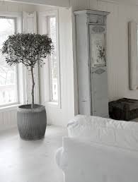 Dreaming Of A Big Olive Tree Wohnraum Tegernsee Selbermachen