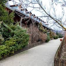 Ingrijire batrani la domiciliu versus azil de batrani. Despre Noi Casa Orizont