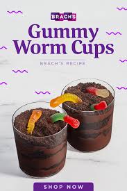 Kids Love This Creepy Crawly Dessert Recipes Kid Friendly Dessert Fun Kids Food