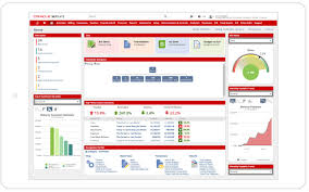 Netsuite offers multiple enterprise solutions, including erp, service resource planning (srp) both netsuite erp and netsuite srp also handle global business for companies looking to expand. Two Tier Erp Get The Best Of Both Worlds Netsuite