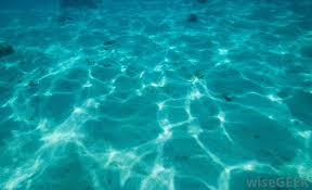 What Are Some Features Of The Ocean Floor With Pictures Ocean Oceanography Pictures