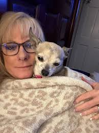 Calling Dr. Newman. 🩺🩺 #newman #chihuahua #dogstagram  #chihuahuasofinstagram #cute #longhairedchihuahua #dogs #chihuahualove  #chihuahualove #puppy #chihuahualife