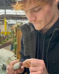 Owen Bender (@ovifoe) • Instagram photos and videos