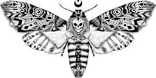 Le tatouage de papillon est généralement associé à une symbolique de beauté raffinée, de grâce et de romantisme, de fragilité avec une notion d'éphémère on retrouve souvent cette symbolique du papillon représentant la vie après la mort dans les mangas shonen (comme bleach par exemple) ou. Epingle Par Olivia Ray Sur Tattoo Ideas Tatouage De Phalene Tatouage Papillon Mort Tete De Mort