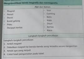 Apa Langkah Langkah Percobaan Benda Magnetis Dan Nonmagnetis Brainly Co Id