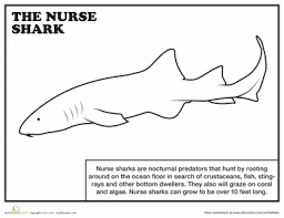 Nurse Shark Worksheet Education Com Shark Coloring Pages Nurse Shark Shark Facts