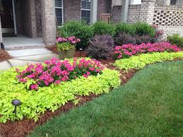 The most common sweet potatoe vines material is metal. Beautiful Landscaping Using Geraniums And Sweet Potato Vine Beautiful Vibrant Colors Beautiful Landscaping Front Yard Landscaping Flower Bed In Front Of House
