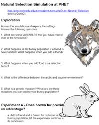 Natural Selection Simulator