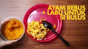 Ayam Rebus Labu Wet Food Untuk Kucing Youtube