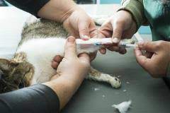Check spelling or type a new query. Preparation Tips To Consider Before Collecting Blood