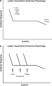 This only includes people who have public search listings available on facebook. Molecular Physiology Of Weight Regulation In Mice And Humans International Journal Of Obesity