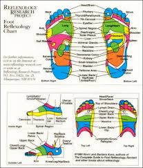 Foot Reflexology Chart Reflexology Research Project