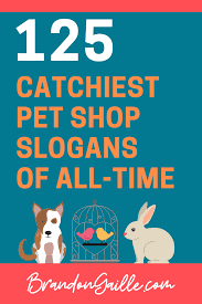 125 Good Catchy Pet Shop Slogans Pet Care Business Pet Shop Dog Grooming Shop