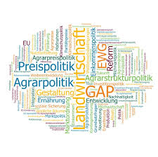 Hannah Penelope Klein