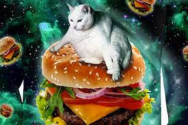 You may be used to the way processed ham tastes. We Celebrate National Hamburger Month With Cats Catster