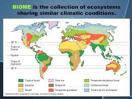 Deciduous Forest Location Map Map Of Biome Locations In The World - Temperate Deciduous Forest